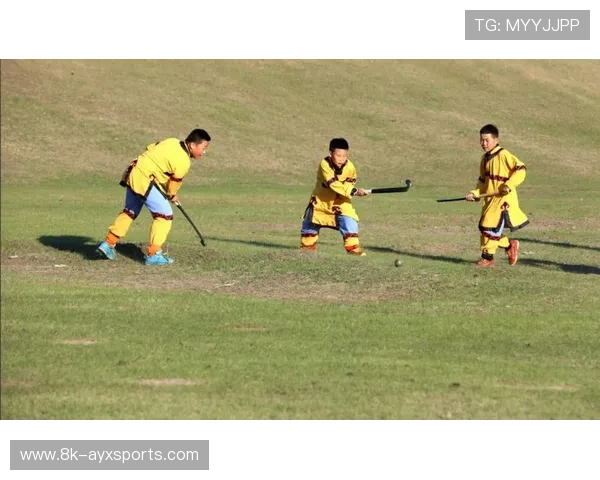 莫旗曲棍球互动体验区，冠军队员手把手指导市民